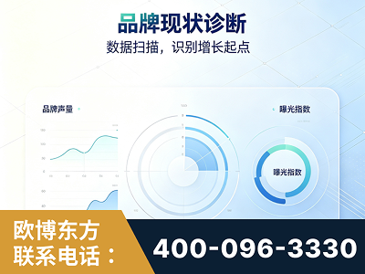 石狮-品牌现状诊断