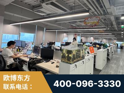 石狮-企业展示图